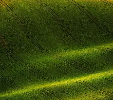 梦到朋友谈买地赚钱心得