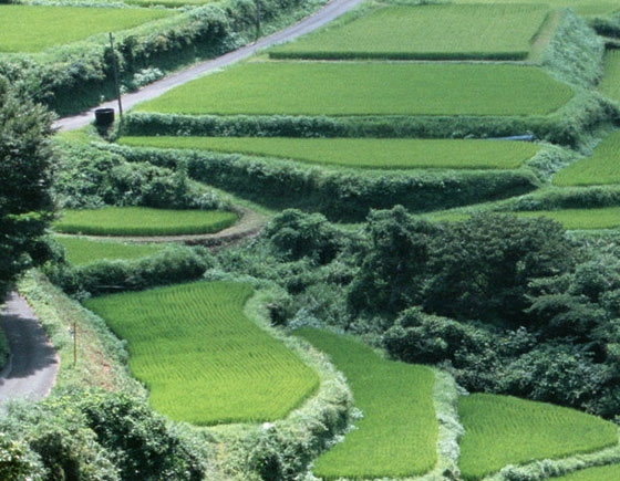 赚钱的思路和案例