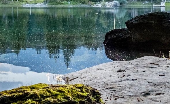 种地赚钱案例分析