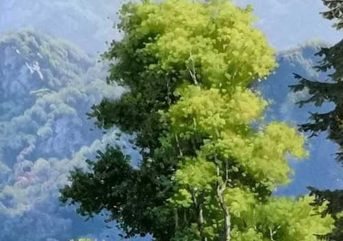 彩虹圈赚钱方法