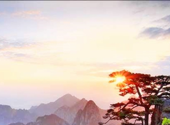 做什么项目可以赚钱