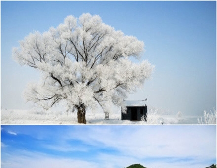 空手赚钱野路子