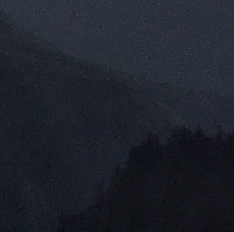 茶叶直播赚钱方法视频