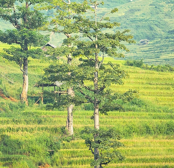 携程旅行app下载安装