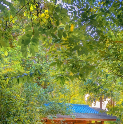 推销用什么方法最快赚钱
