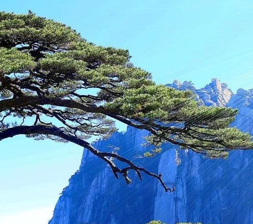隐藏的赚钱项目软件