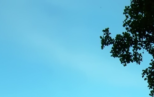 京东达人赚钱项目是什么