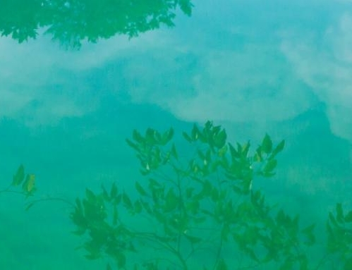 夏日传奇赚钱方法视频下载