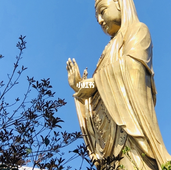 直播视频赚钱有哪些方法