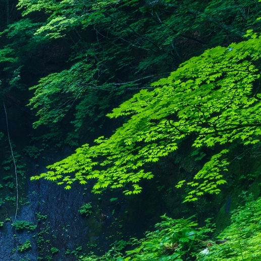 过渡期快速赚钱方法