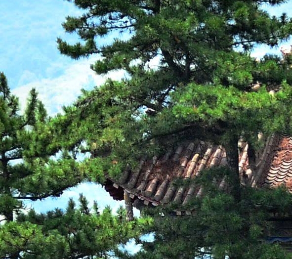 挖矿赚钱是什么意思