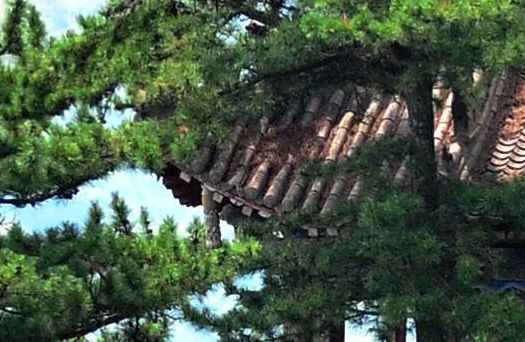 兼职赚钱总结怎么写