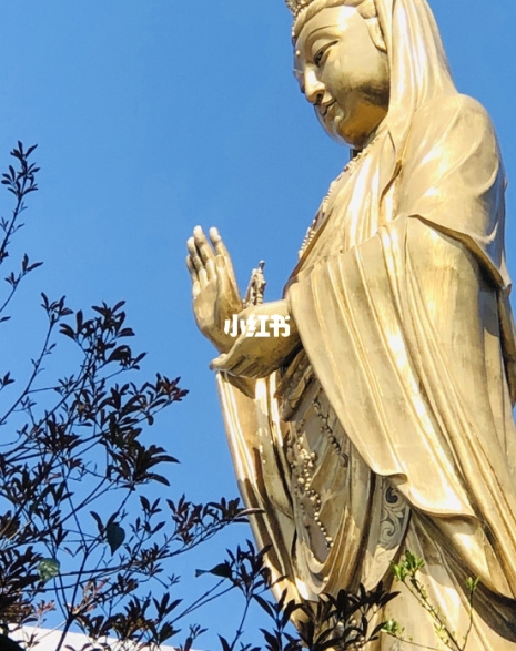 如何看到赚钱的方法