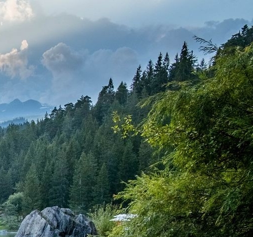 分享经济模式案例