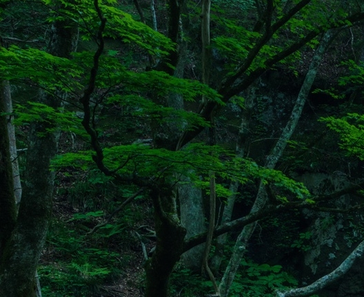做环氧地坪利润与前景