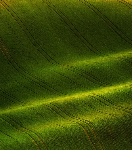 助力赚钱项目简介范文图片