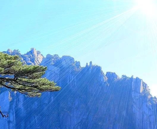 赚钱暴富项目大揭秘