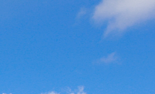 搞笑段子素材去哪里找
