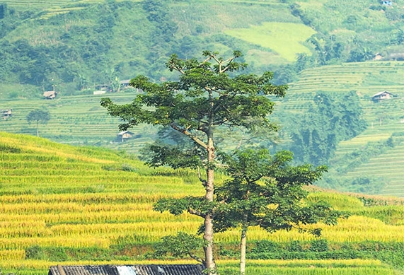 赚钱的思路