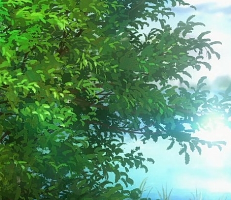 六百万星光可以挣多少钱