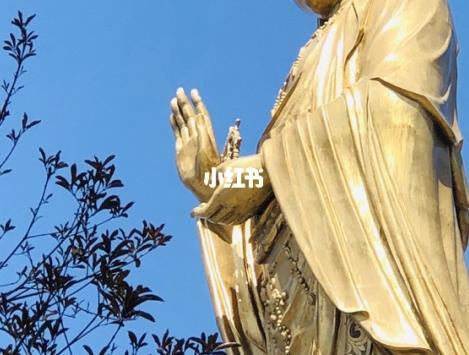 育儿问答赚钱项目文案图片