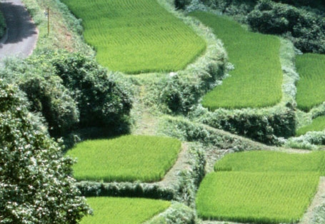 屹怎么赚钱渠道案例