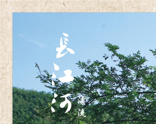 种植赚钱案例分析书