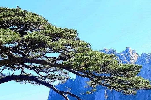 写稿子赚钱