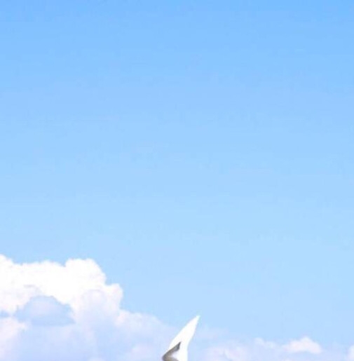 空手赚钱的真实案例