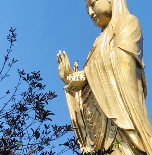 挖开路面就能把钱赚视频