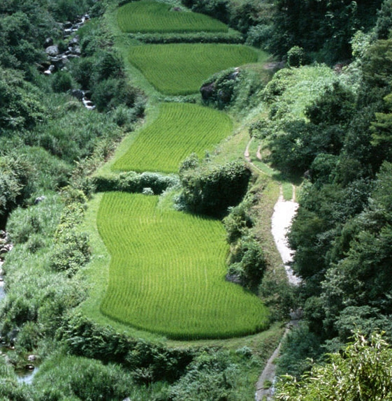 赚钱养家心得