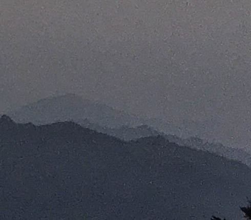 卖房成功案例分享