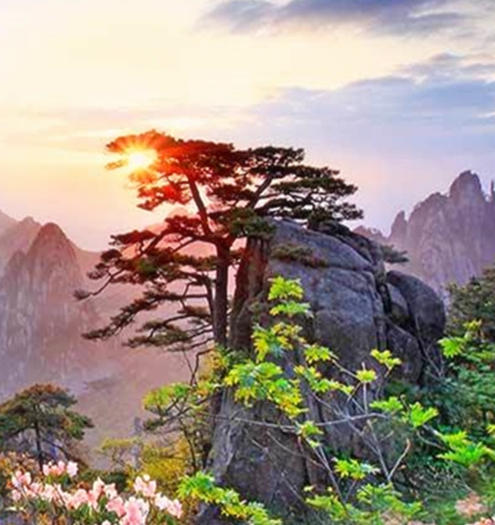 登山赛车赚钱