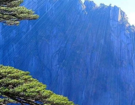 现在养什么鸟赚钱