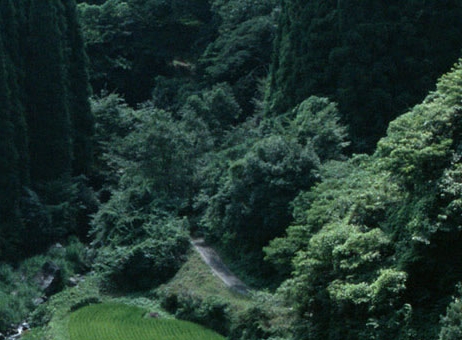 包年套餐赚钱案例