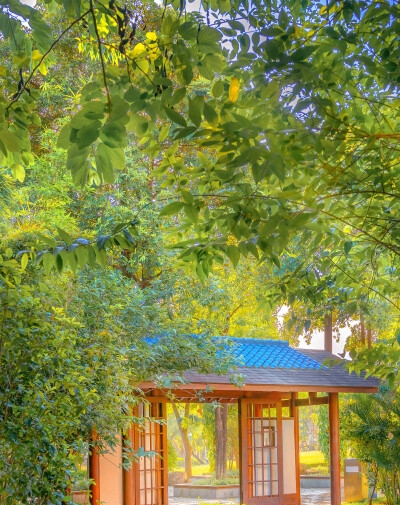 致富案例
