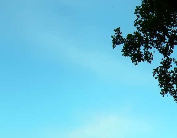 绝地求生之屠神