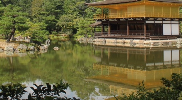期权赚钱完整案例