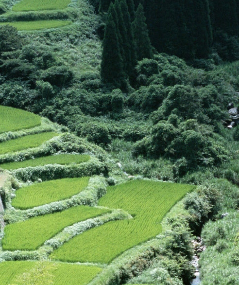 冠希努力赚钱案例