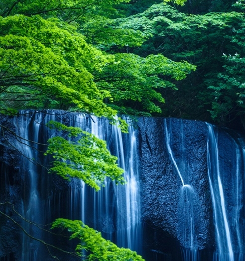 saebyok美妆成功案例