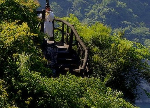 快餐中餐二十元标准