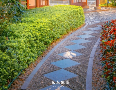 苏州要下载赚钱项目投资