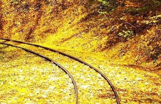 ps赚钱渠道
