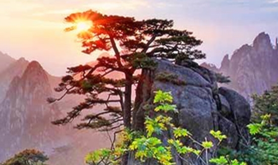 阳江保洁公司招聘