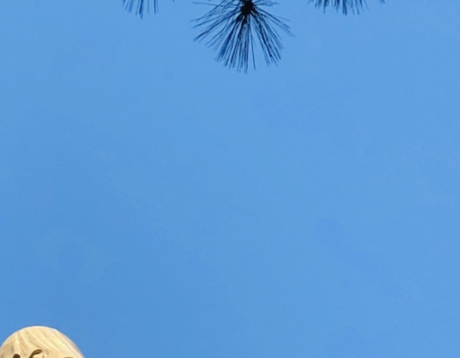 免费赚钱模式案例