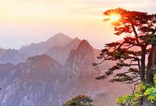 缅北地区赚钱成功案例