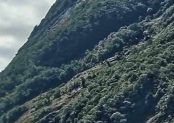 一台电脑赚钱的门路