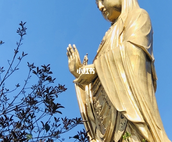 有钱人靠脑子赚钱