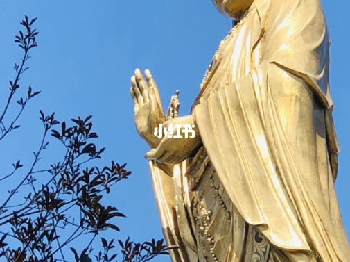 赚钱新项目