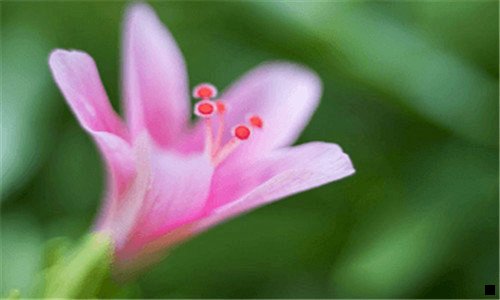 二微信怎么自动赚零花钱